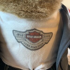 HD limited edition anniversary bear